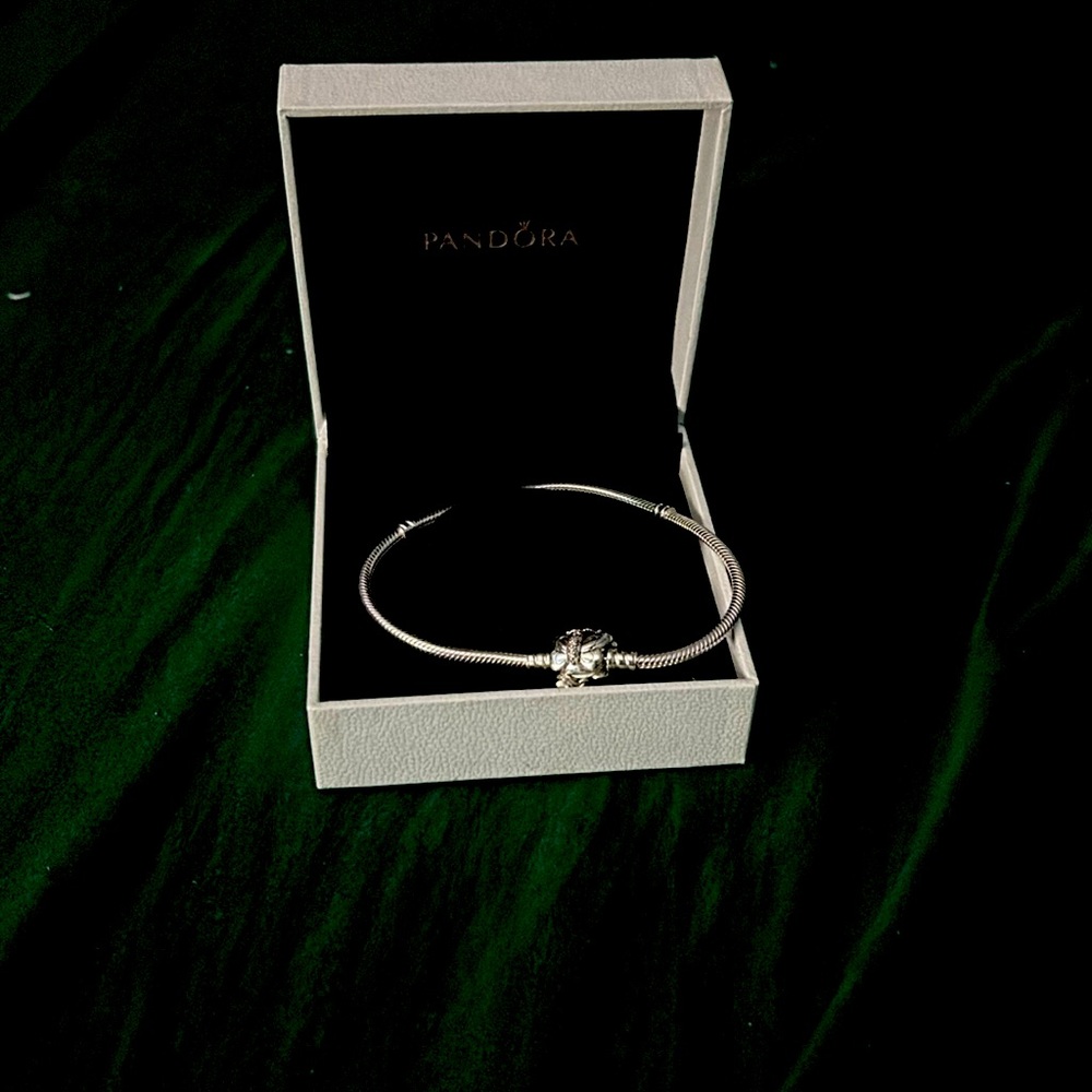 Pandora bracelet